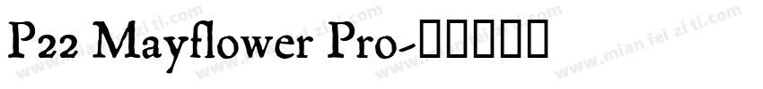 P22 Mayflower Pro字体转换